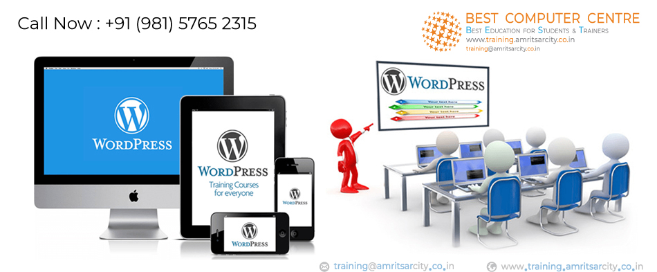 Best Wordpress Training Institute in Amritsar