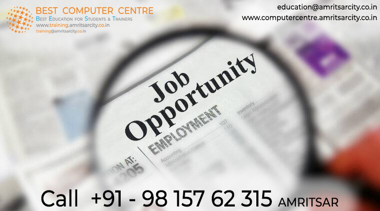 Best Web Design, Web Development, SEO Jobs in Amritsar